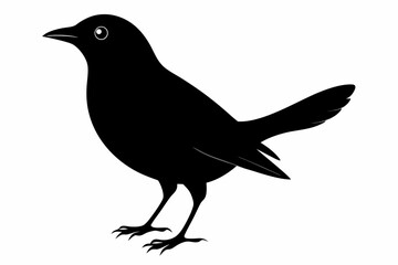 blackbird sihouette black vector