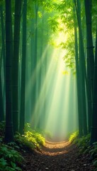 Obraz premium Serene bamboo forest bathed in morning sunlight, mist clinging to the leaves, creating a mystical atmosphere Tranquil nature scene evokes peace and harmony , harmony, environment