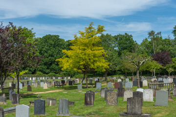 Naklejka premium Brockenhurst, UK - May 31st 2025: Trees amoung the gravestones in St Nicholas’ Churchyard.