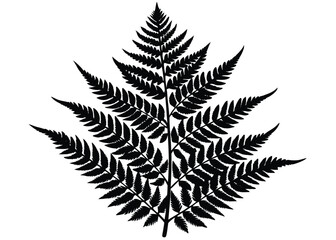 Fern silhouette vector graphic design botanical illustration nature plant isolated on white background
