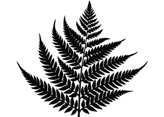Black fern silhouette vector illustration for botanical designs and nature inspired graphic elements use 

