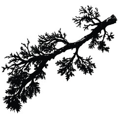 Black and white drawing of tree branch silhouette vector illustration for design and creativity art work
