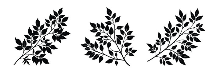 Black leaf branch vector illustration foliage plant silhouette botanical nature design element isolated on white
