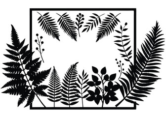Botanical frame with fern leaves and flowers vector illustration for design and decoration art
