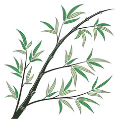 Bamboo plant drawing illustration green leaves branch stem design asian zen nature botanical art vector image
