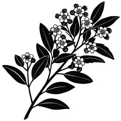 Black and white floral illustration of blooming branch with leaves for graphic design and decoration
