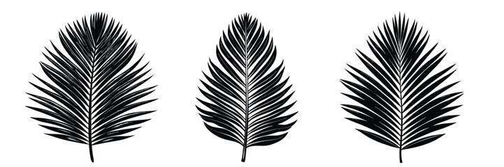 Black palm leaf illustration tropical leaves vector design summer foliage botanical drawing exotic plant art
