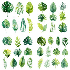 Collection of watercolor tropical and jungle leaves in various green tones. Hand-painted botanical illustrations on clean white background.

