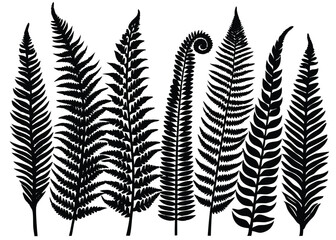Black fern silhouette vector illustration for botanical design and nature inspired art projects decor
