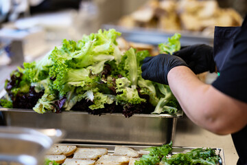 Chef with black gloves preparing fresh mixed lettuce in a professional kitchen. Healthy food preparation with focus on hygiene and clean ingredients.
