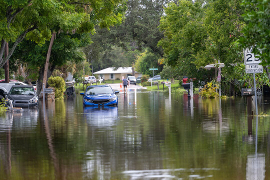 Fototapeta Hurricane flooded cars on city street in surrounded with water Florida residential area. Consequences of hurricane Debby natural disaster