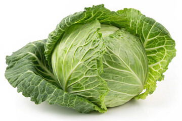 Obraz premium A fresh, vibrant green cabbage with textured leaves, isolated on a clean white background.