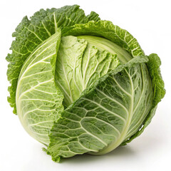 Obraz premium Brightly lit studio shot of a raw green cabbage, perfect for culinary and dietary themes.