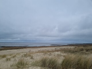 Whispers of the North Sea Coastline