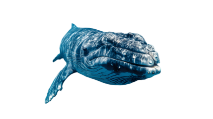 celebrating world oceans day on june 8