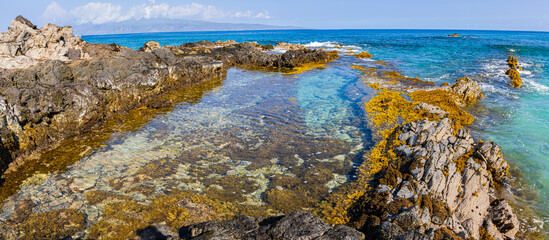Tide Pools on The Volcanic Shoreline Below The Ironwood Cliffs, Kapalua Coastal trail, Kapalua,...
