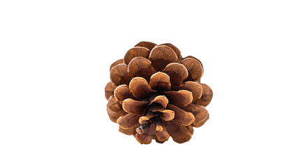 Obraz premium Pinecone isolated brown cone christmas, christmas-tree, snowman christmas, gifts christmas, abstract, background, ball, bell, bow,, photo background, imIsolated Brown Pine Cone on Black Background