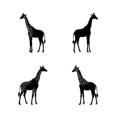 giraffe silhouette vector