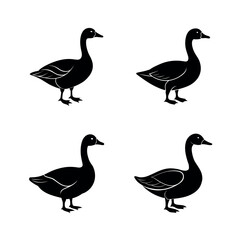 set of silhouettes of ducks