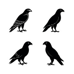 set of silhouettes of birds