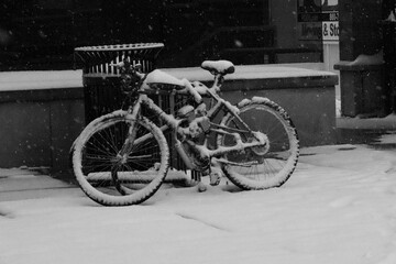 bicycle in the snow