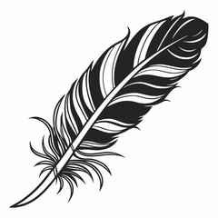Obraz premium Elegant black and white single feather illustration