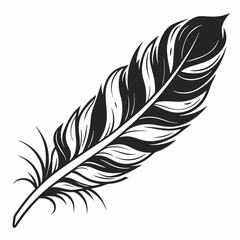 Obraz premium Single elegant black and white feather illustration