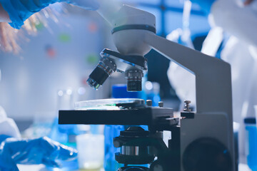 Scientist pipetting medical samples into microplate in laboratory