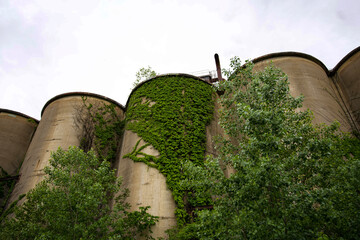 Abandoned Industrial Silos Overgrown with Vegetation