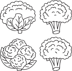 Cauliflower Vegetable Vector with White Head and Green Base for Nutrition and Food Projects