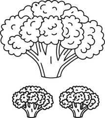 Cauliflower Vector in Flat Style for Healthy Food Cooking and Natural Ingredient Design