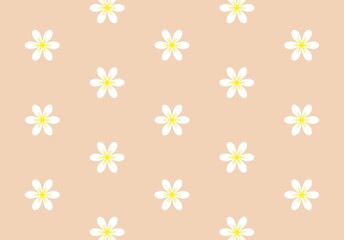 Pretty Peach Background with White Flower Pattern Seamless Floral Design for Textile and Web (Created by graphics program)