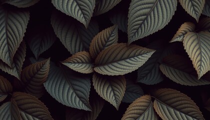 Dark Moody Green Leaves Background Texture