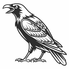 Obraz premium Professional raven illustration isolated on white background