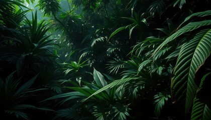 Lush Tropical Rainforest Background Deep Green Foliage