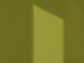 A soft green wall with a shadow cast by an open door. The interior space is minimalistic and modern, emphasizing simplicity and light.