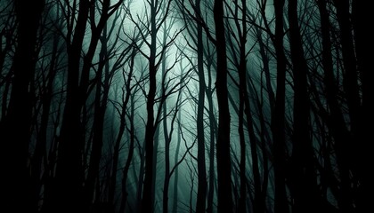 Obraz premium Dark and Mysterious Forest Eerie Woods at Night