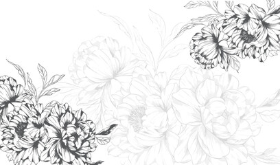 Peony Line Drawing. Trendy floral peony bouquets sketch. Botanical Line Art Peony Collection. Hand drawn line art peony flowers.  Black and white peony