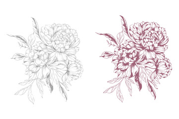 Peony Line Drawing. Trendy floral peony bouquets sketch. Botanical Line Art Peony Collection. Hand drawn line art peony flowers.  Black and white peony