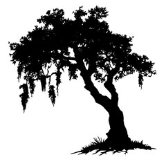black silhouette of a tree on a transparent background black, grass, silhouette, tree , Generative art.