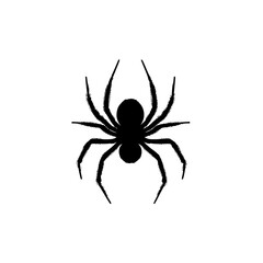 a black silhouette of a spider on a transparent background black, design, illustration, silhouette, spider , Generative art.