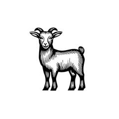 Obraz premium illustration of a goat standing on isolated white background black, goat, hand, illustration, stand, style , Generative art.