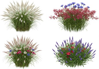 Four garden plant collections isolated on white background