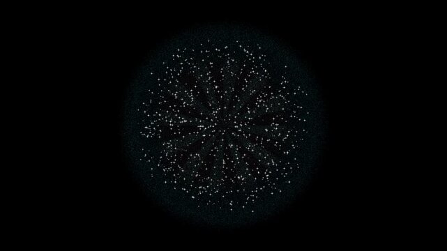 animated single fireworks for event or celebration, animation footage video isolated on black background