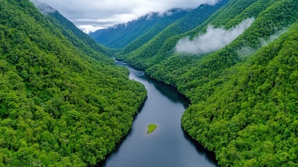 Lush Green Valley with Wide River Flowing Through Dense Forest Under Cloudy Sky