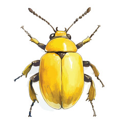 Watercolor Illustration of a Bright Yellow Beetle with Detailed Antennae and Legs