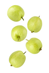 Falling Guava, cutout, full depth of field.