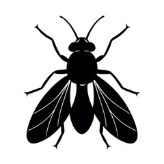 Dragonfly vector silhouette