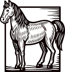 Fototapeta premium Engraved illustration of standing horse in vintage with textured lines and detailed mane inside square frame