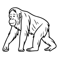 orangutan vector realistic line icon on white background
Vector line icon animal, wildlife